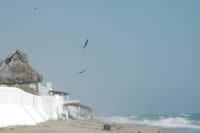 oct07 430.jpg (39kb)